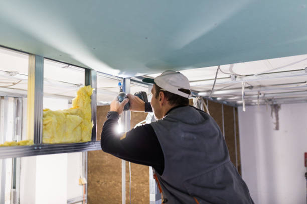 Best Crawl Space Insulation  in Hazel Crest, IL