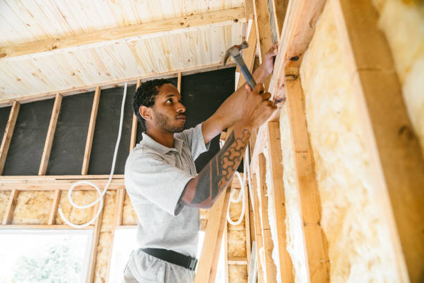 Best Insulation Removal  in Hazel Crest, IL