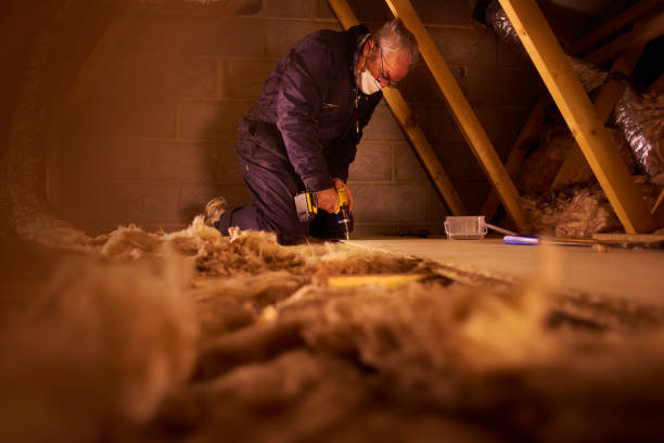 Best Home Insulation Services  in Hazel Crest, IL